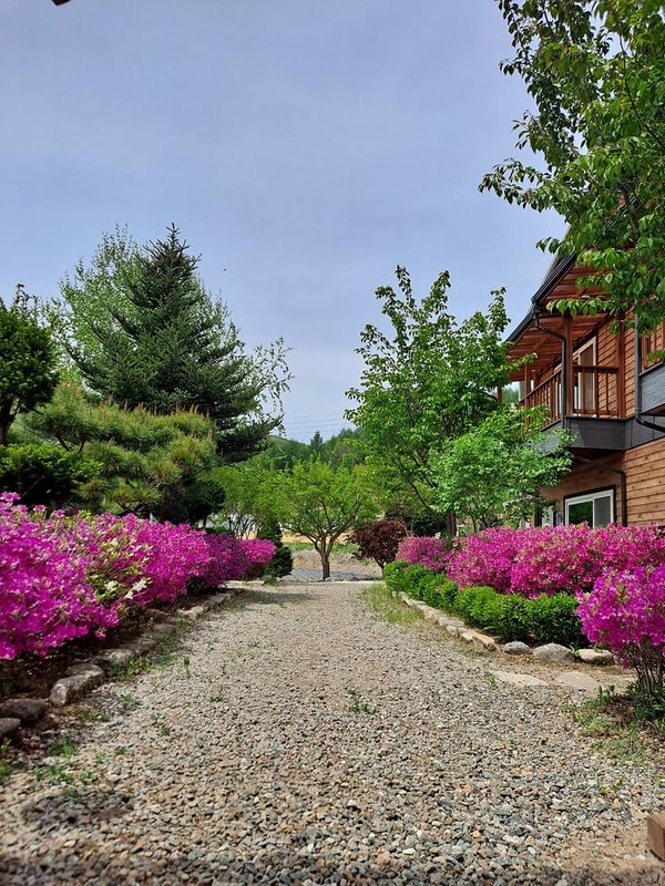 숲속의 정든집 야영장 대표 사진