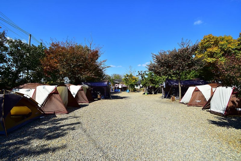 경주초우오토캠핑장 시설 사진 10