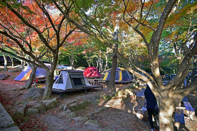 월출산국립공원 천황야영장 시설 사진 8