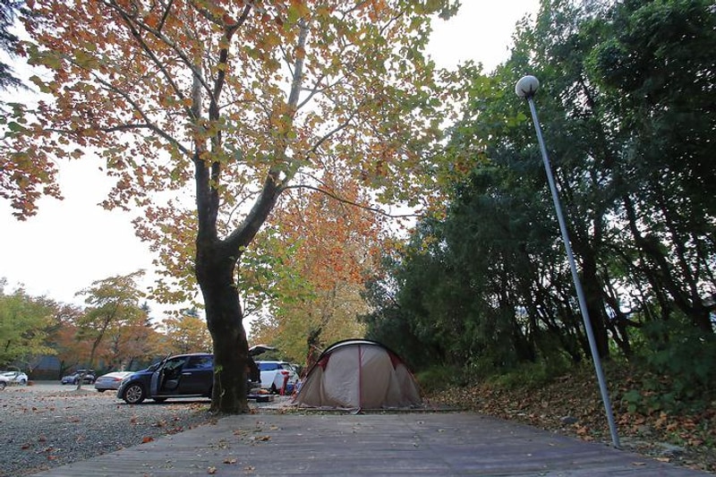 가온누리캠핑체험장 대표 사진