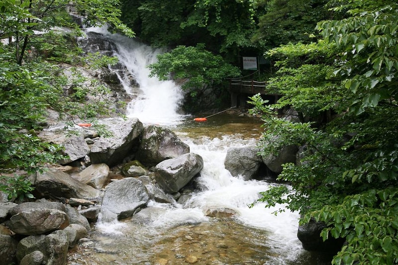 대관령자연휴양림야영장 시설 사진 9