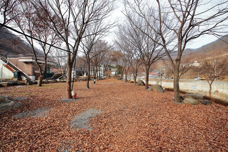 엘림펜션 오토캠핑장 시설 사진 15