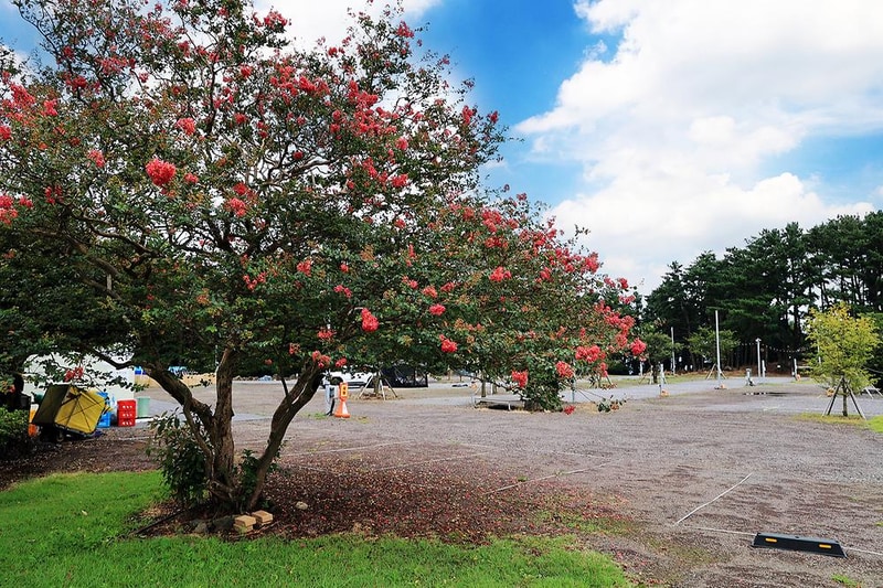 녹고뫼캠핑장 관광농원 시설 사진 12