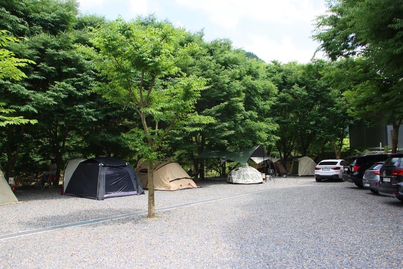 법흥계곡캠핑오늘 시설 사진 25
