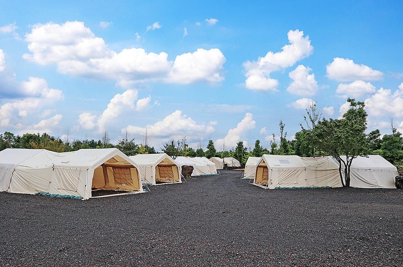 아이올레 인 포레스트 캠핑 시설 사진 25