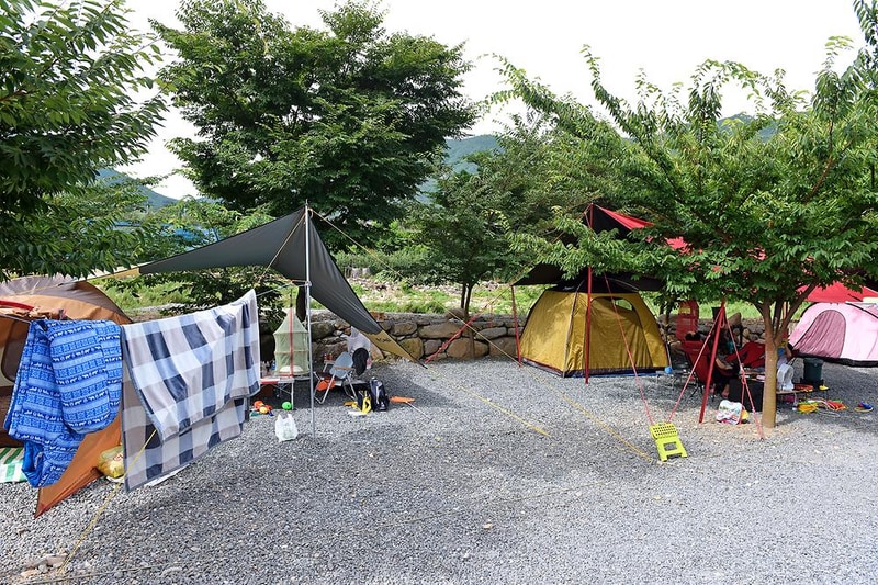 초록슈피아오토캠핑장 시설 사진 13
