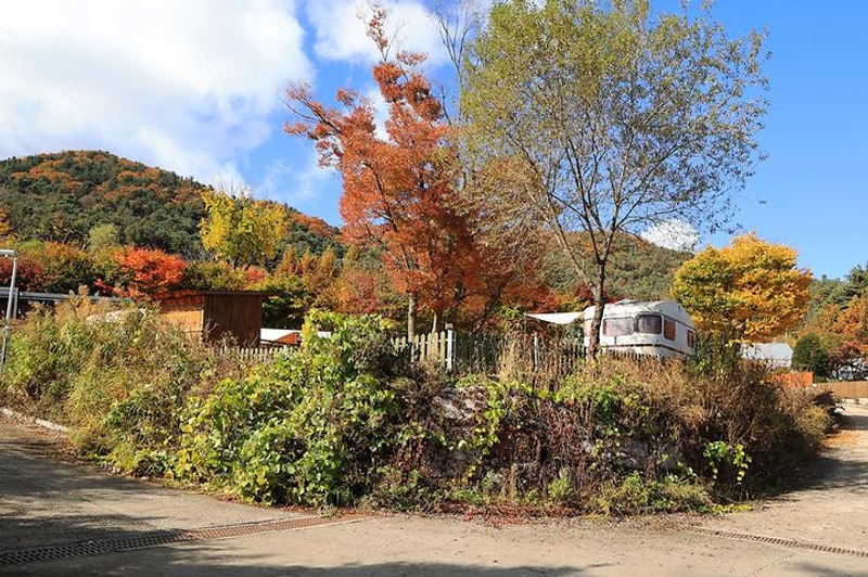 잭스캠프 대표 사진