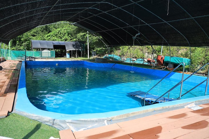 개똥이네캠핑장 시설 사진 13