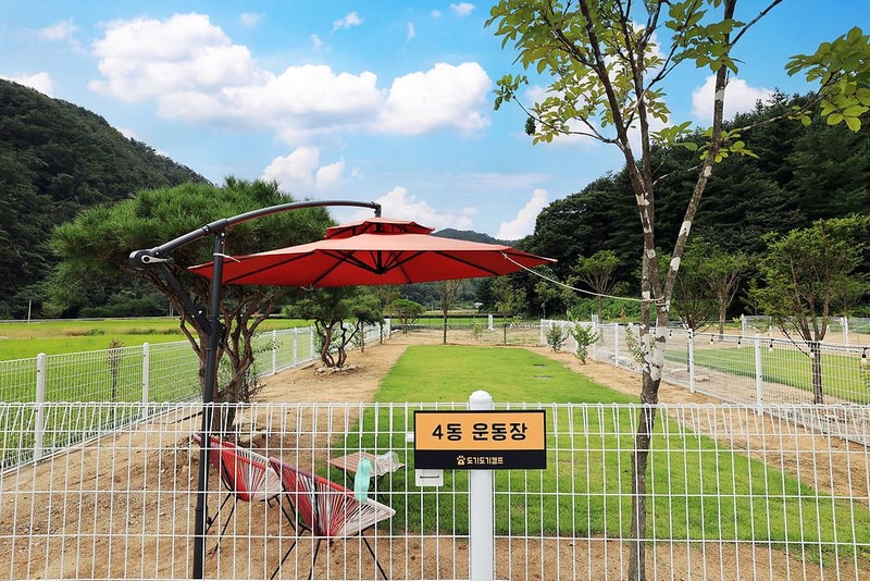 도기도기캠프 시설 사진 3