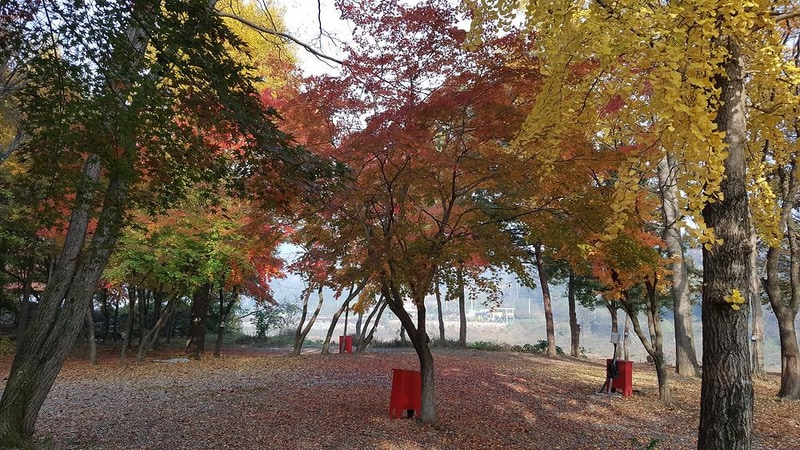 써니밸리오토캠핑장 시설 사진 6