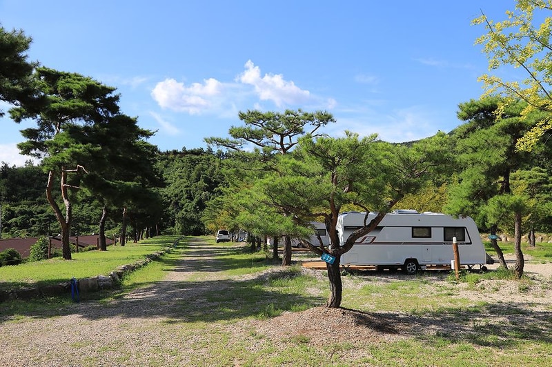 숲속의야영장 시설 사진 11