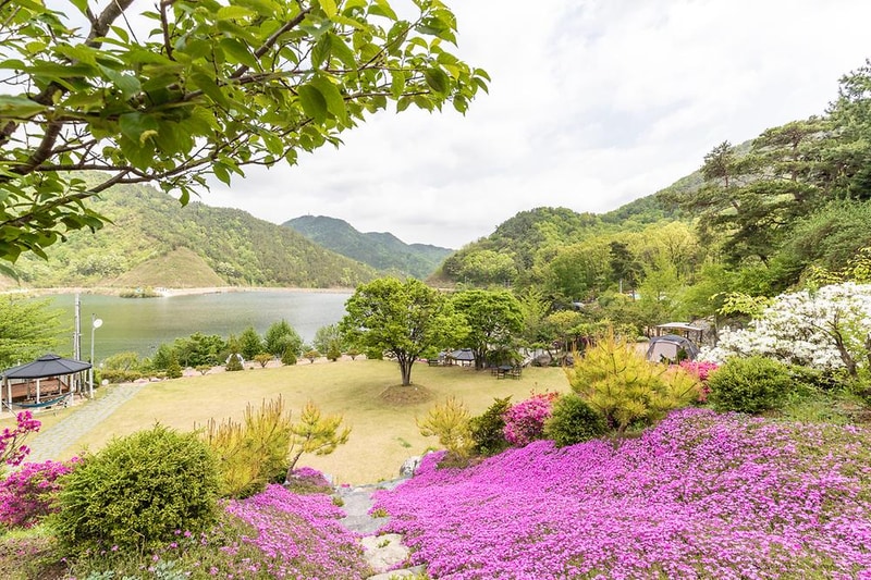 마로니에숲 캠핑장 시설 사진 12