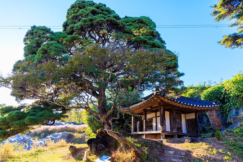 봉천사