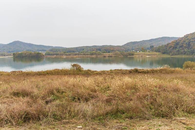 강천섬캠핑장 시설 사진 19