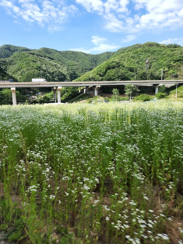 반딧불 캠핑장 시설 사진 6