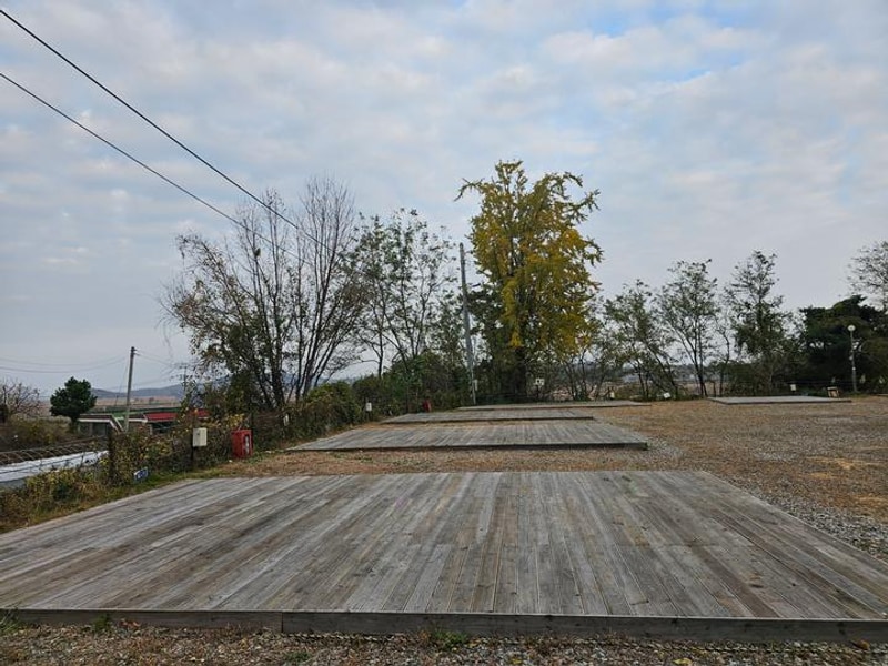 어도숲 캠핑장 대표 사진