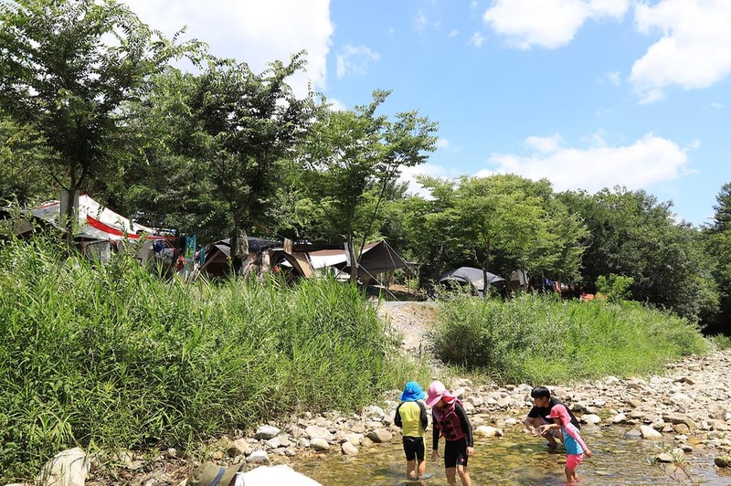 원주두리캠핑장 시설 사진 13