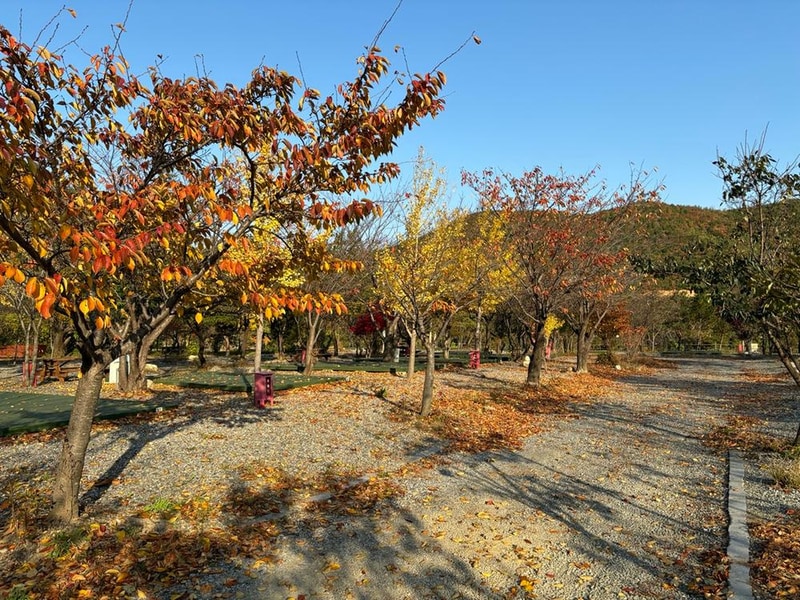 양양 고인돌 캠핑장 시설 사진 3