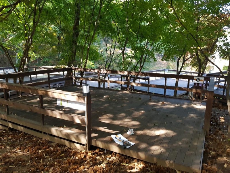 아프리카예술박물관 캠핑장 시설 사진 66