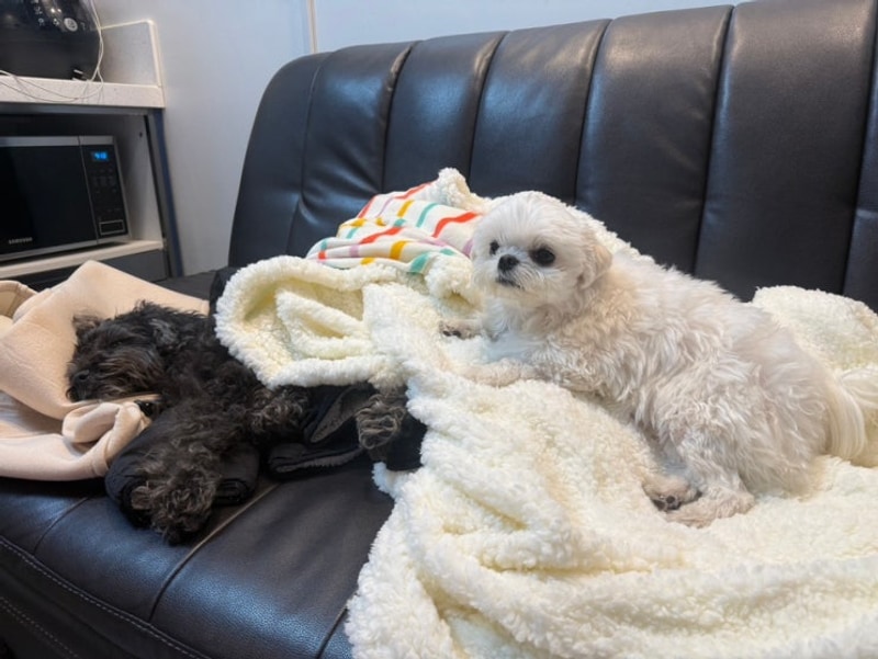 벨르앙쥬 대표 사진