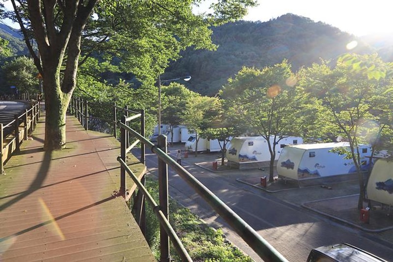 구룡자동차야영장(치악산국립공원) 대표 사진