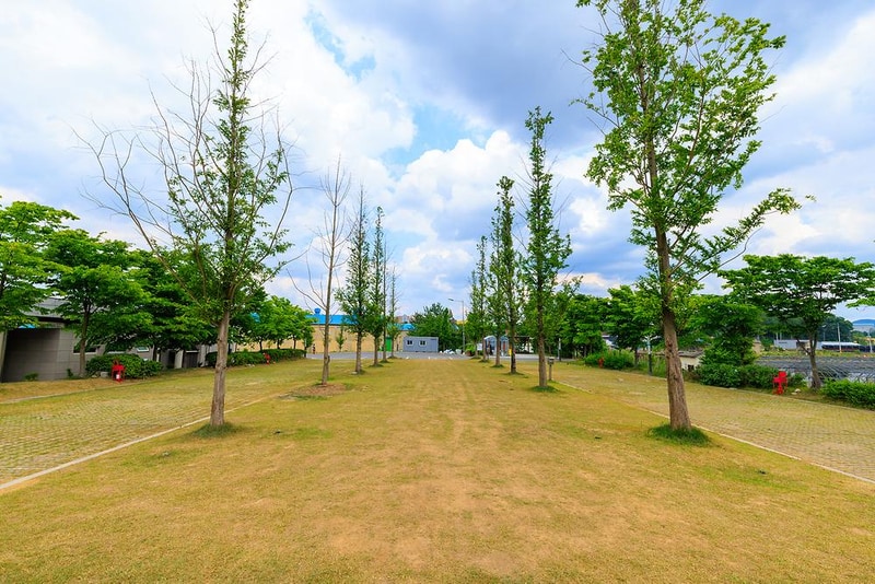 선장포협동조합 시설 사진 16