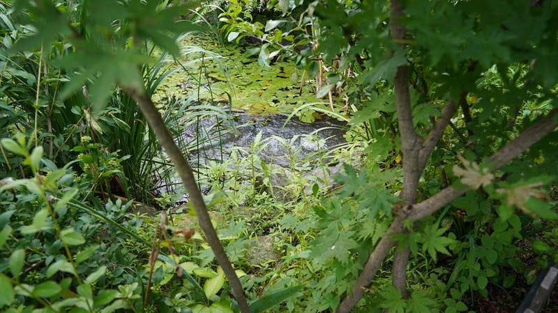 포애뜰 시설 사진 8