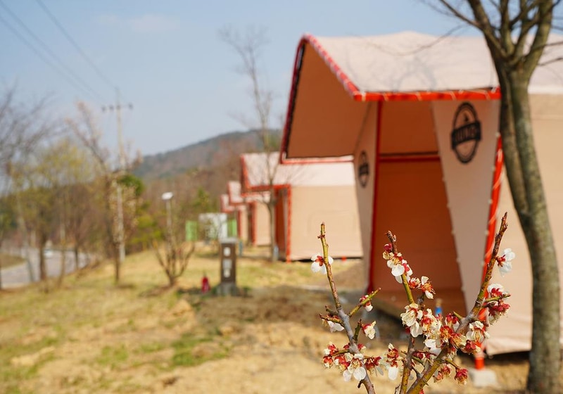 청송오토캠핑장 시설 사진 22