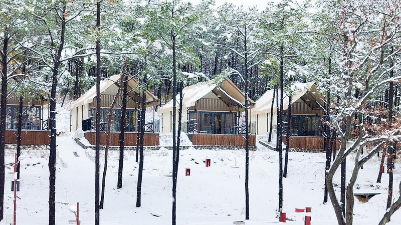 캠프 노마드 시설 사진 1