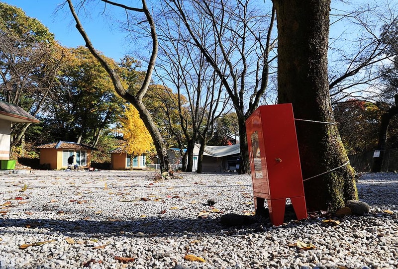 딥포레스트캠핑장 시설 사진 5