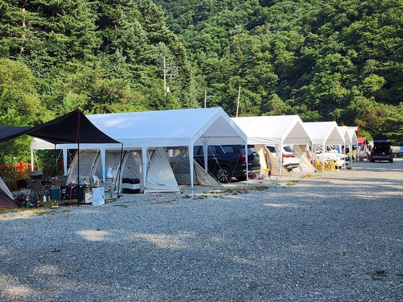 레드우드캠핑장 대표 사진