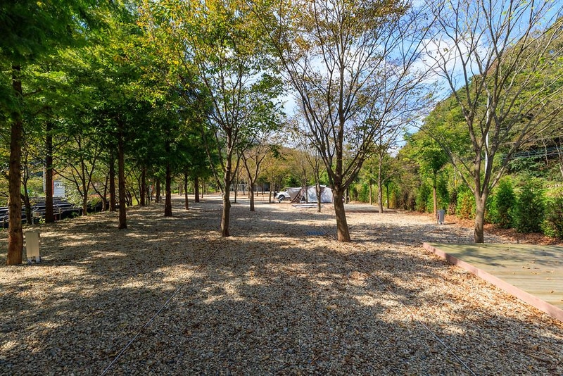 금산 자연 오토캠핑장 시설 사진 23