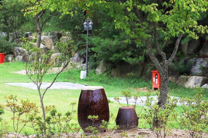 더 포레스트 대표 사진