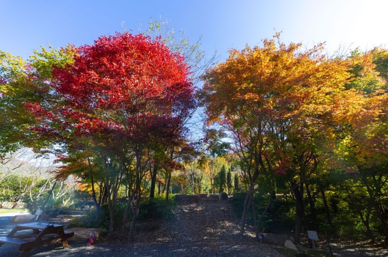 부곡허브농원캠핑장 시설 사진 9