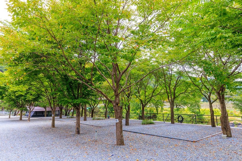 솔내음캠핑장 시설 사진 15