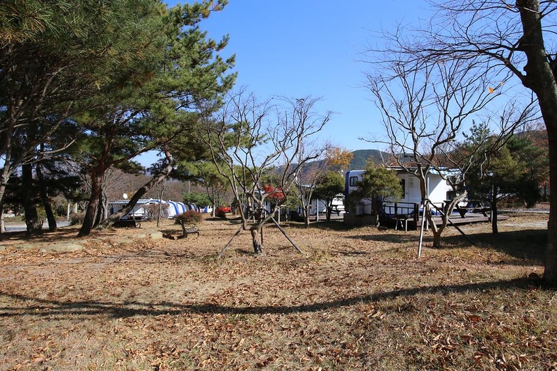 도림사오토캠핑리조트 시설 사진 25