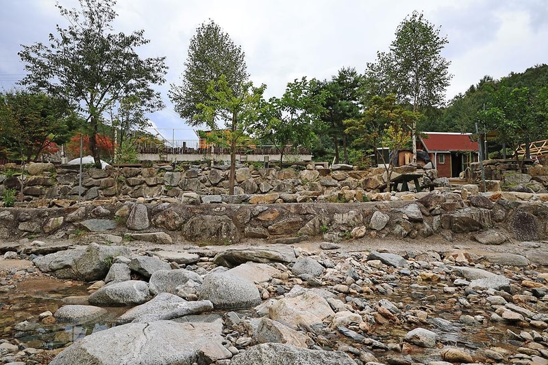 메기의 추억 시설 사진 11