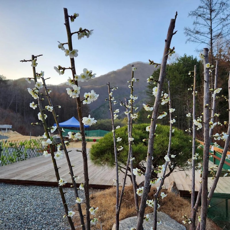 홍천태극캠핑장 시설 사진 23