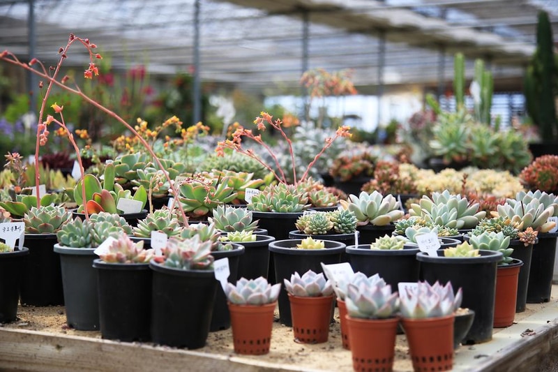 강화고인돌 캠핑장 시설 사진 14