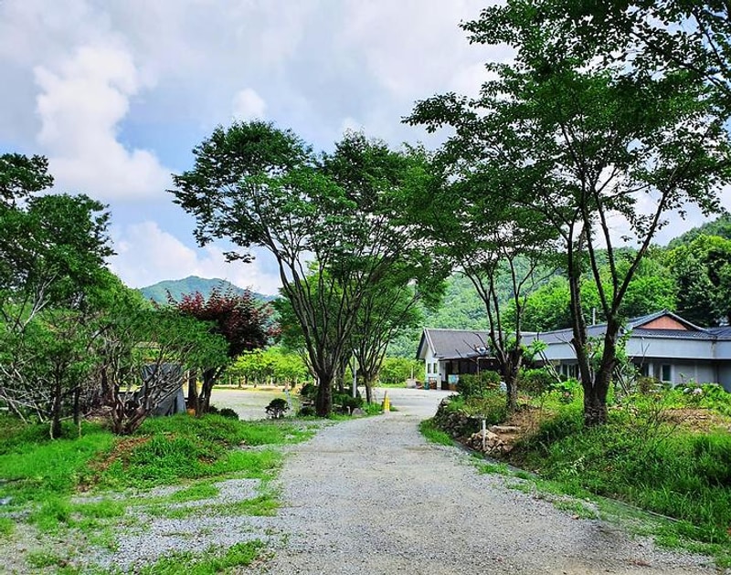 강원 홍천 알프스밸리 캠핑나라 글램독 대표 사진