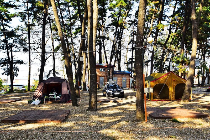 춘장대 중앙솔밭캠핑 시설 사진 5