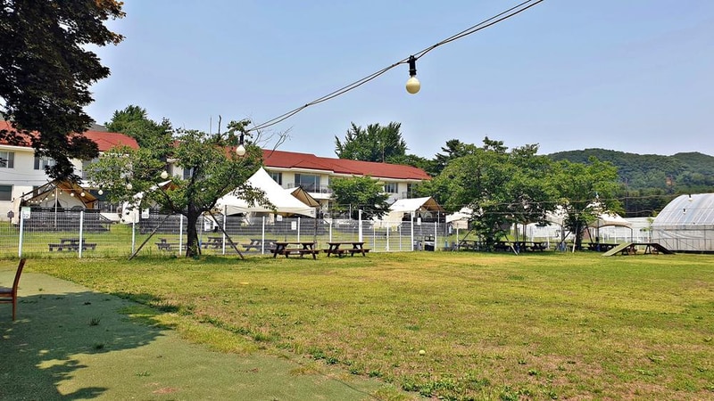 골드펫리조트 시설 사진 4