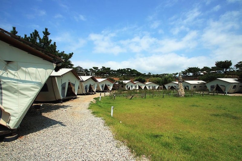 벗과뱃나루 캠핑리조트 시설 사진 10