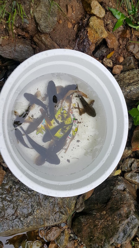 에이스카라반 시설 사진 27