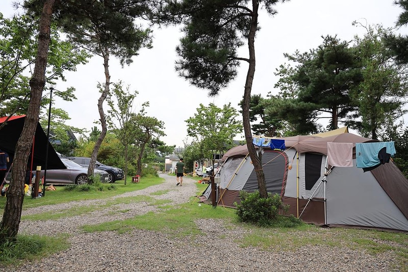 용천수캠핑장 시설 사진 23