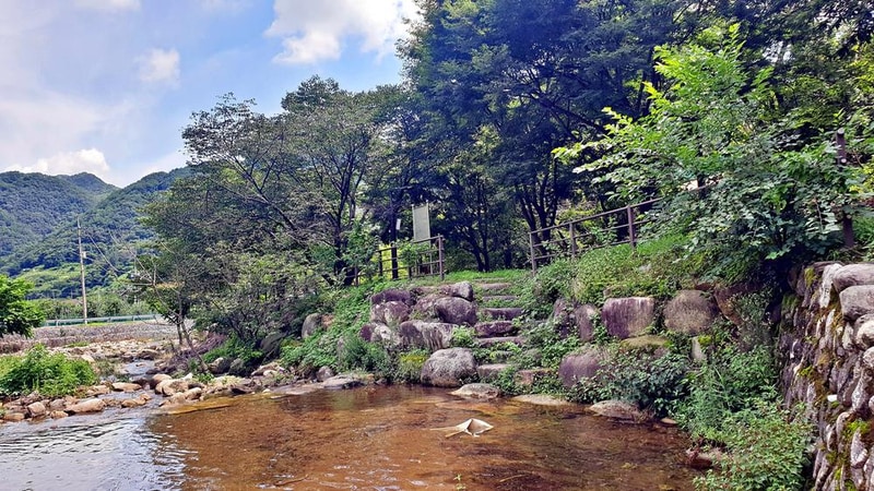 단양 남천 야영장 시설 사진 14