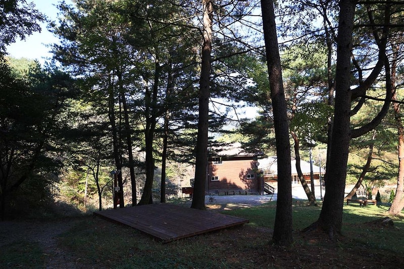 숲속행성 시설 사진 5