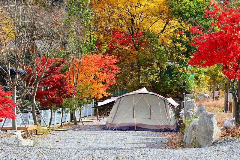 올래캠핑장 시설 사진 4