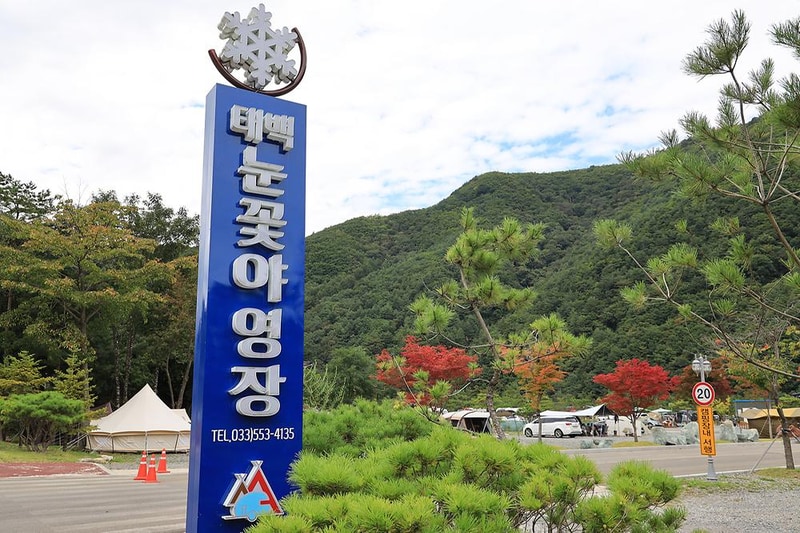 태백 눈꽃 야영장 시설 사진 1