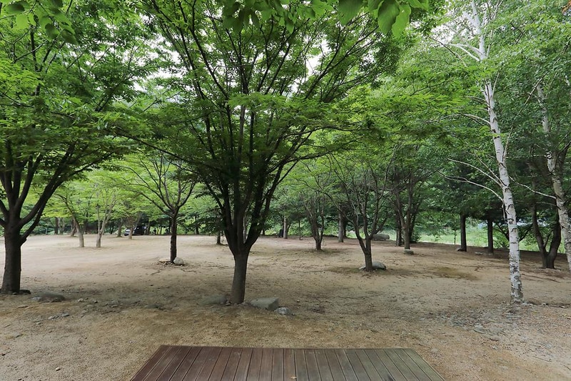 청옥야영장 시설 사진 2